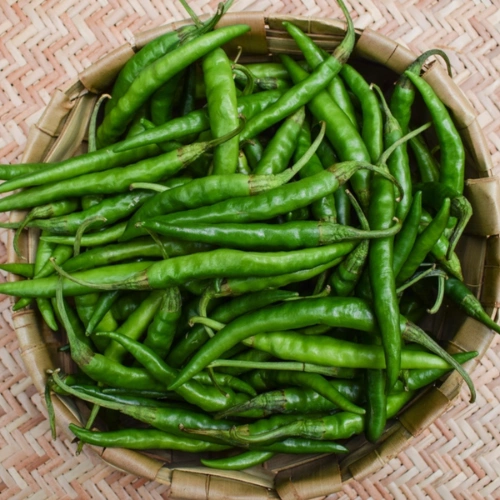 Fresh Chilli